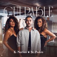 K-Narias - Culpable