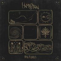 Hamasaari - Pictures