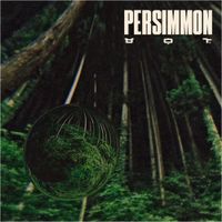 Hikes - Persimmon
