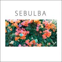 踊ってばかりの国 [Odotte Bakari No Kuni] - Sebulba