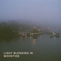 Light Blending In - Moontide
