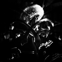 Młody West - FF