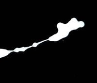 Keith Rowe & Sachiko M - Contact