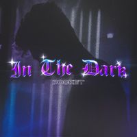 Pocket - In The Dark