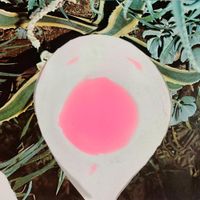Mutter - I&rsquo;ll Wait and Pray