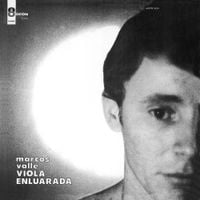 Marcos Valle - Viola Enluarada