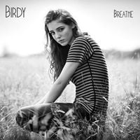 Birdy - Breathe