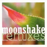 Moonshake - Remixes