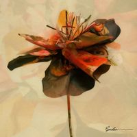 페노메코 [PENOMECO] - Garden