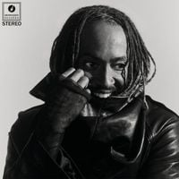 Thundercat - I Did This To Myself