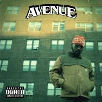 AVENUEBLVD - FORTUNE FAVORS RISK
