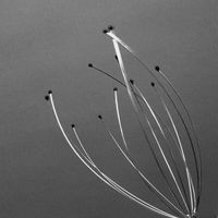 Xiang - Edge and Air, Me and You