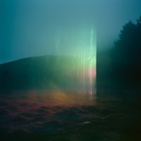 Johan Agebjörn - Southern Forest