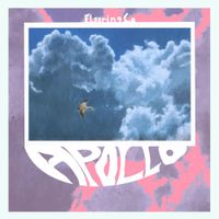 FlooringCo. - Apollo