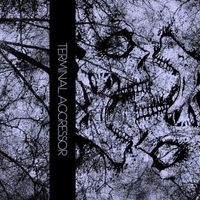 Dragged Into Sunlight - Terminal Aggressor