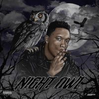 idontknowjeffery - NIGHT OWL