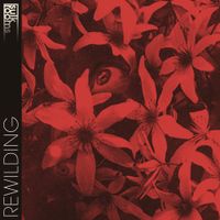 Sulk Rooms - Rewilding