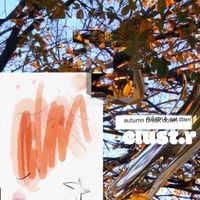 clust.r - autumn break down