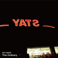 NOT WONK - This Ordinary