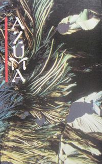 Yoshitaka Azuma - Azuma