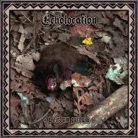 weirdum gurdum - echolocation (2020-2025 archives)