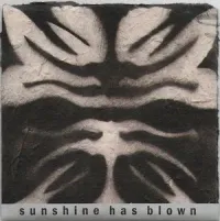 Sunshine Has Blown - Sunshine Has Blown