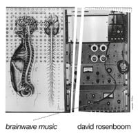David Rosenboom - Brainwave Music