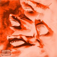 luracks - Half Court