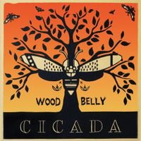 Wood Belly - Cicada