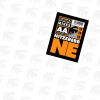 Nitzer Ebb - Fun to Be Had / Getting Closer Mixes