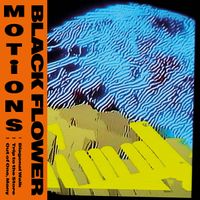Black Flower - Motions