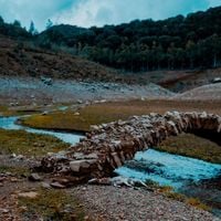 Quercia - mentre i monsoni curano e scuotono l&rsquo;erba rimasta,