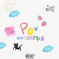 WebDumps - POV