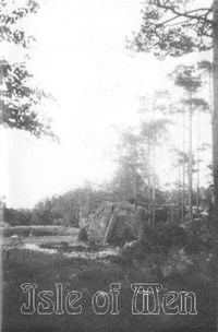 In the Woods... - Isle of Men