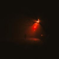 cohen_noise - Some Things Aren't Forever, But For A Reason