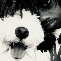 vax - hound