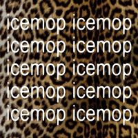 icemop - icemop [HAZY-008]