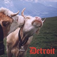 Finger Foods - Detroit