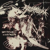 Flesh Prison - Sent Through A Woodchipper