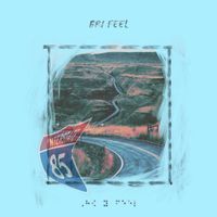 Bri Feel - 85