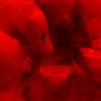 julietteundercover - rednwhite