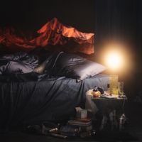 Lauren Auder - praxis
