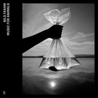 Nils Frahm - Lemon Day