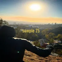 maxon - Sample 25