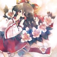 Alstroemeria Records - Lily of the Incas