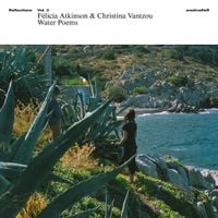 F&eacute;licia Atkinson - Reflections Vol. 3: Water Poems