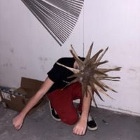 Punk Racks - Jump Up Or Take It Outside
