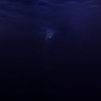 Said The Sky - Salt & Silence
