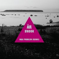 Snook - Inga problem (Remix)