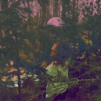 Emilia Elel&eacute; - T&auml;nne linnut palaavat